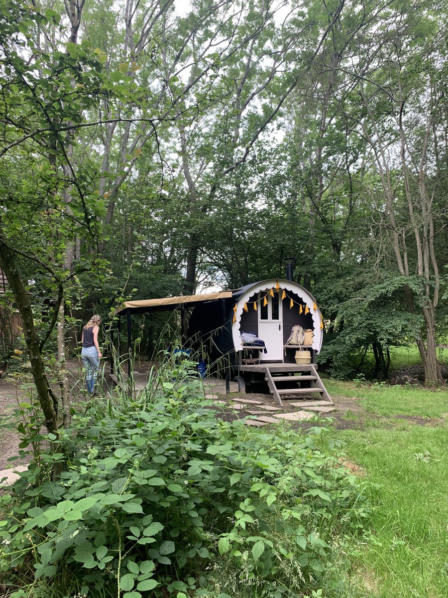 Beautiful night away in the woods for our own little bit of “forest medicine”. Woke to bird song, and now feel reset and recharged. Last nights soak in the wood fire heated bath under the woodland canopy was pretty special too. @canopyandstars #ForestMedicine #nature 🌲🌲🌿