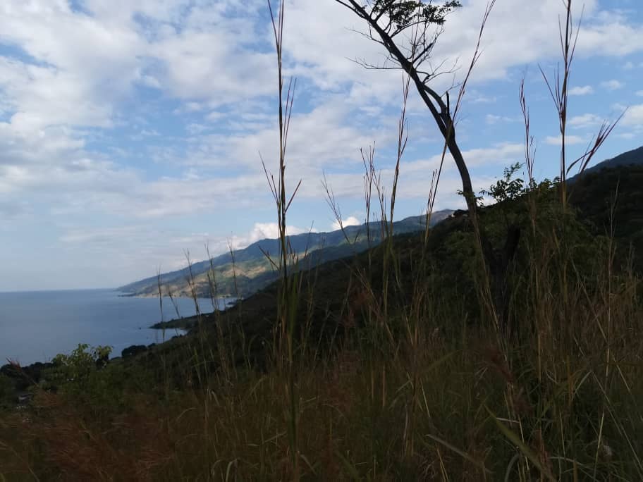 UsisyaT's tweet photo. Mlowe Campsite:
This is a new camp site at Mkhombwa Hill. This is an ICM Project, supporting those in tourism sector that have been hardly hit by COVID-19 pandemic.
@MalawiTourism
#UsisyaTrail #GIZMIERA #ICMPROJECT https://t.co/D4ufhq4g3Y