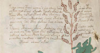 Monday July 12 4pm EST <a href="/BeineckeLibrary/">Beinecke Library</a>  Voynich Manuscript (MSS 408) with Lisa Fagin Davis, Raymond Clemens, Claire Bowern  @lisafdavis <a href="/anggarrgoon/">me</a>  yalelibrary.zoom.us/webinar/regist…