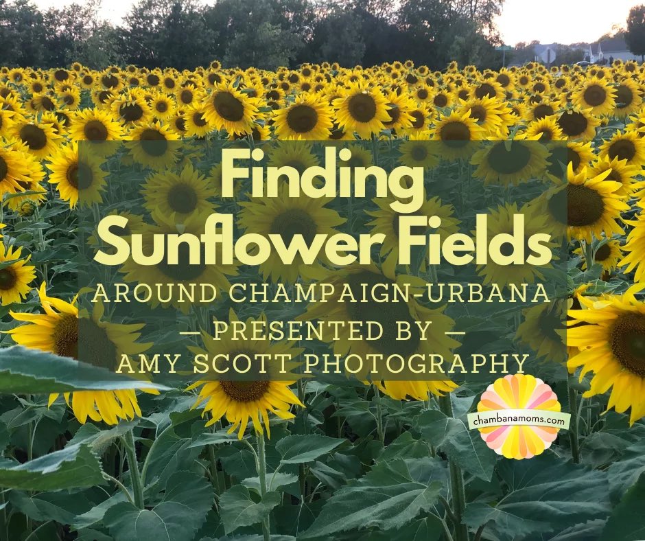 Chambanamoms Com Chambanamoms Twitter