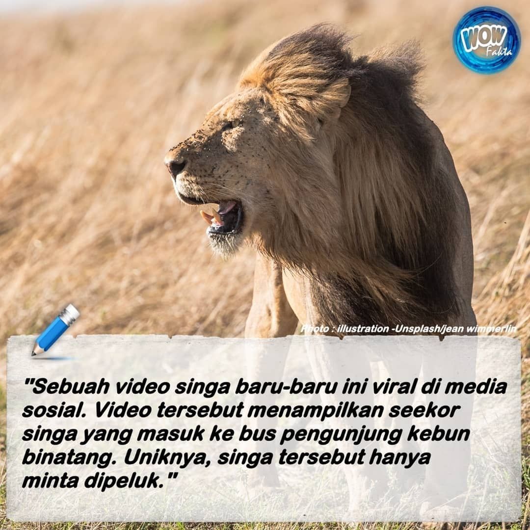 Video tersebut, yang diposting oleh seorang pengguna bernama Zaytoven Beatz, menampilkan seekor #singa yang masuk ke bus pengunjung kebun binatang. Untungnya, kisah singa masuk ke #bus penuh manusia ini tidak...⤵️
.
instagram.com/p/CPuH2bmriil/…
.
.
