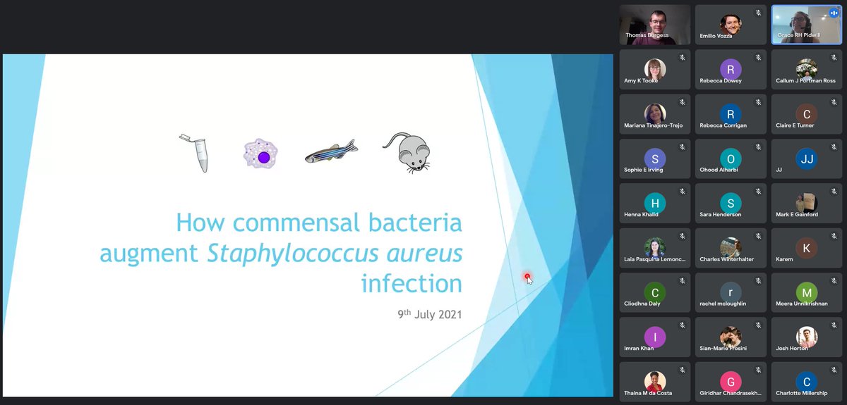 Foster Lab (@foster_lab) on Twitter photo Brilliant talk by <a href="/GracePidwill/">Grace Pidwill</a> on her work on the augmentation phenomenon in S. aureus infection! #StaphGBI2021 #Florey2021 Brilliant talk by <a href="/GracePidwill/">Grace Pidwill</a> on her work on the augmentation phenomenon in S. aureus infection! #StaphGBI2021 #Florey2021