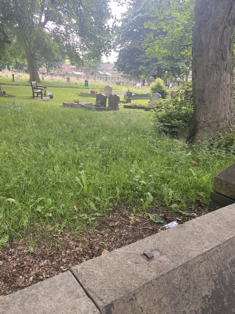 olliemma's tweet photo. @Calderdale why aren't cemeteries getting maintained?? https://t.co/L2EifH7KDM