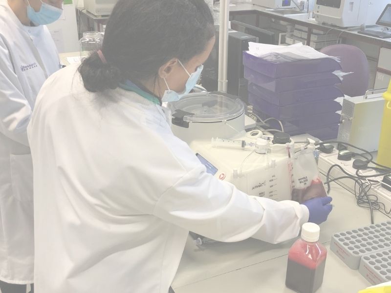 Our whole team are really excited to receive the additional funding from Foresight allowing the business to expand RAPID-1 our Clinical trial. biotherapyservices.com/biotherapy-ser…
