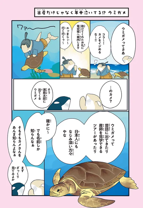 ウミガメ、出産以外でも泣いてます(1/2) 