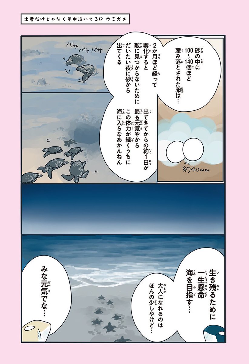 ウミガメ、出産以外でも泣いてます(2/2)

https://t.co/DhBRj6hoWr 