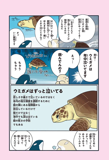 ウミガメ、出産以外でも泣いてます(2/2)

https://t.co/DhBRj6hoWr 