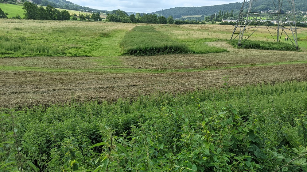 Seen a lot of Small Totrtoishell caterpillars on nettles this last 2 weeks which is good.  But why do they always seem to favour the field nettles that are going to be flailed.  We desperately need more undisturbed habitats. <a href="/growbatheaston/">@GrowBatheaston</a> <a href="/Aliceundo/">Alison Harper</a> <a href="/Bathscape/">Bathscape</a>