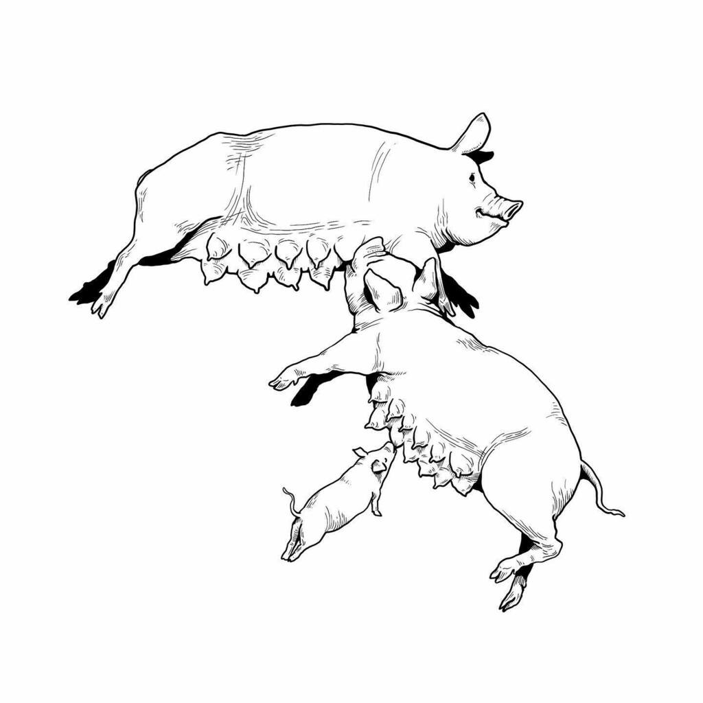 エイマ Eima 110eima 님 트위터