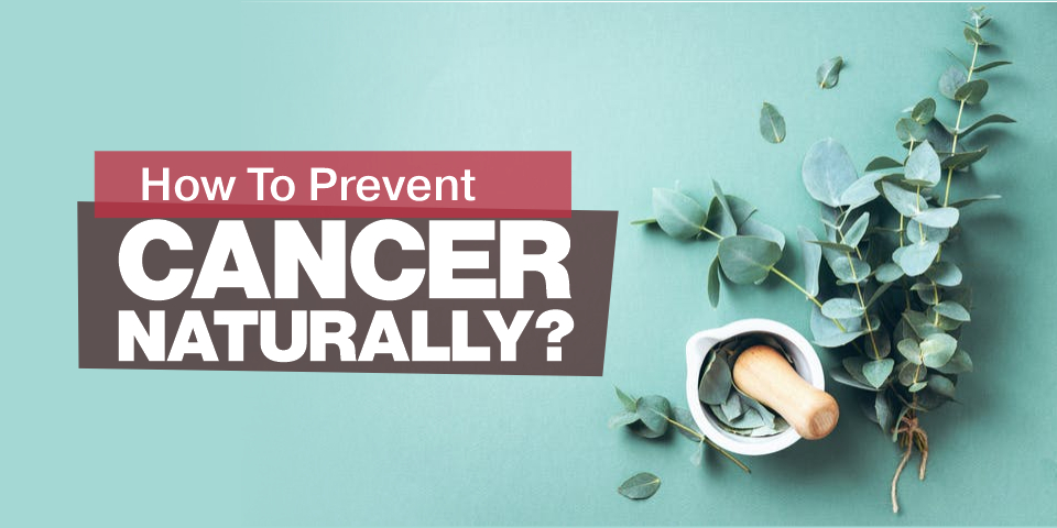 Divyaupchar_'s tweet photo. How To Prevent Cancer Naturally?
#Divyakit #health #healthcare #healthy #Ayurveda #Ayurvedic #immune #BoostYourImmunity #Cancer
https://t.co/wCCPJgkYfO https://t.co/kjsIRTTNqx