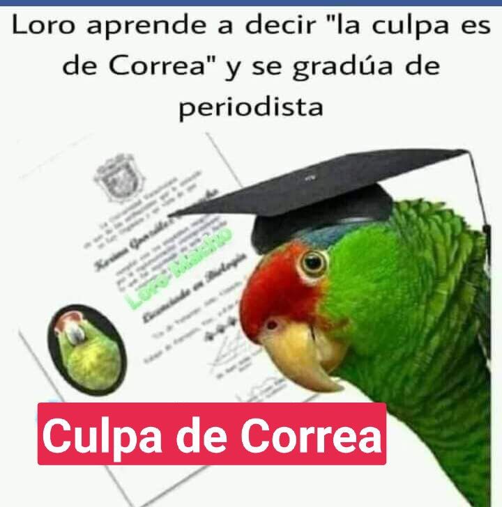 MashiRafael's tweet photo. ¡Sorry! ¡Es demasiado bueno!🤷🏻‍♀️😀
#LosCorruptosSiempreFueronEllos https://t.co/dWSqreSbfE