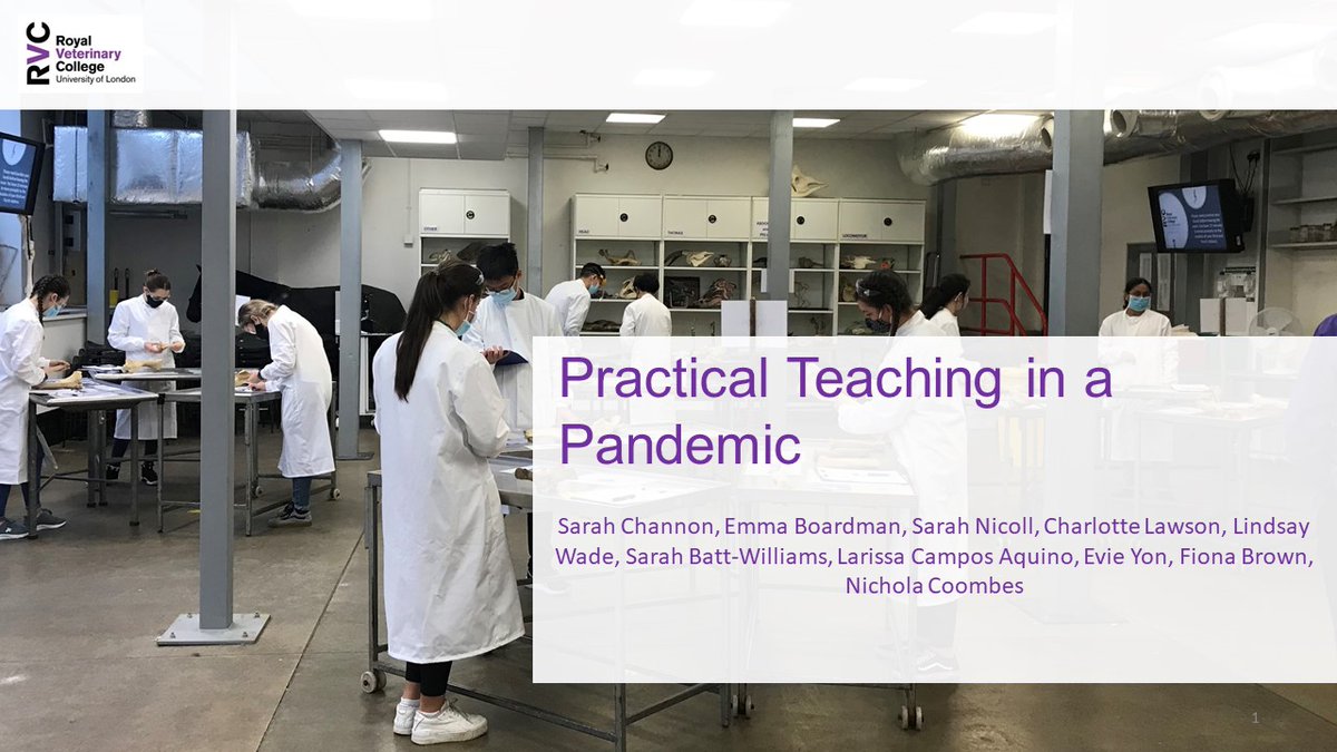 Dr Sarah Channon tweet media