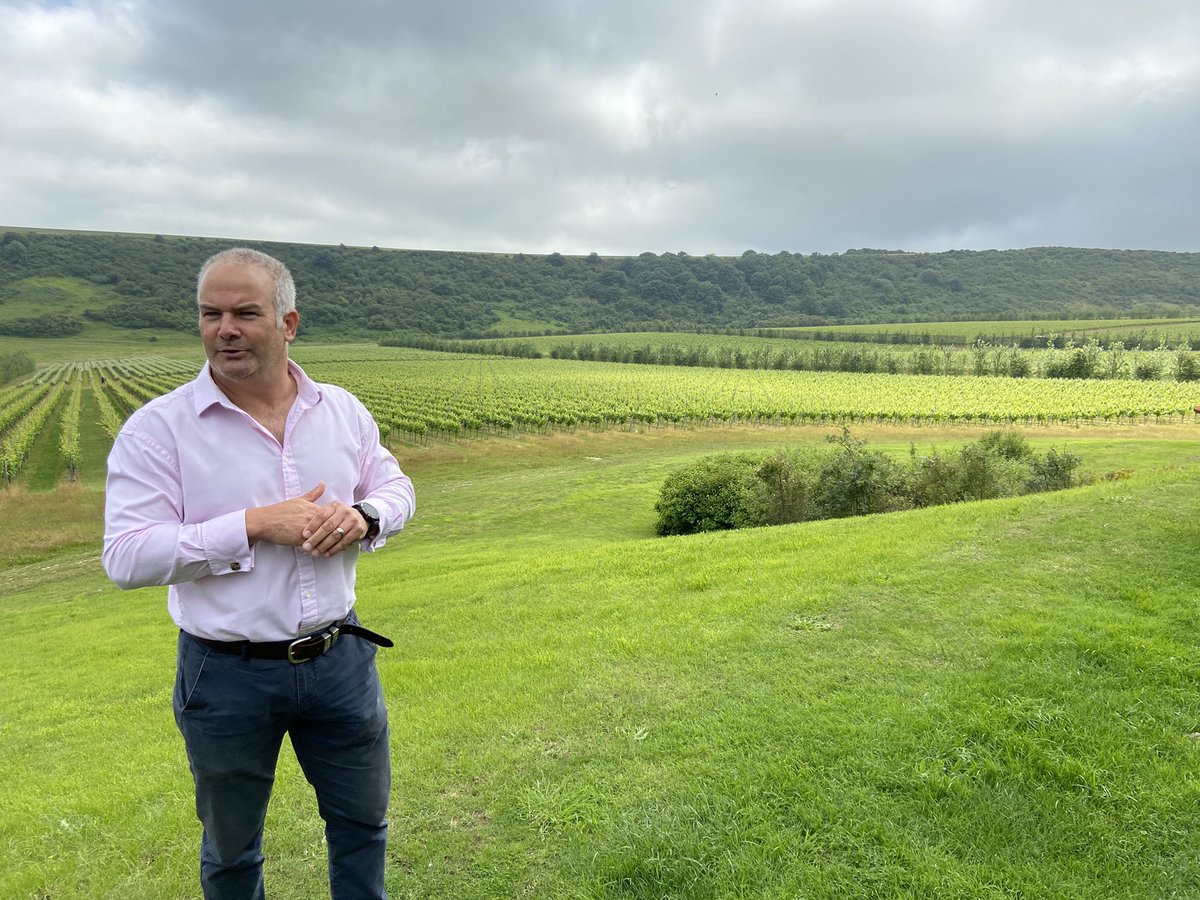 Waud Wines tweet media