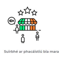 MOREFISH tweet media