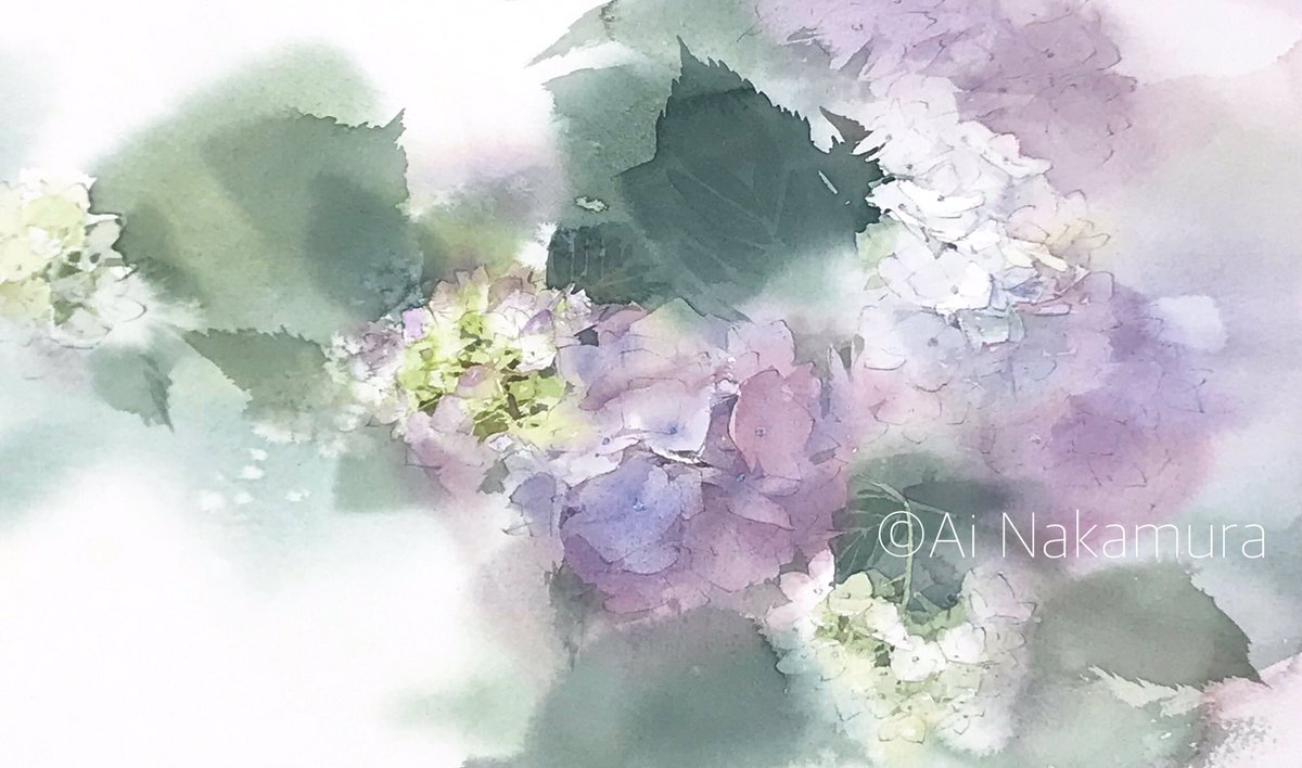 Twoucan アジサイ の注目ツイート イラスト マンガ Twoucan アジサイ の注目ツイート イラスト マンガ
