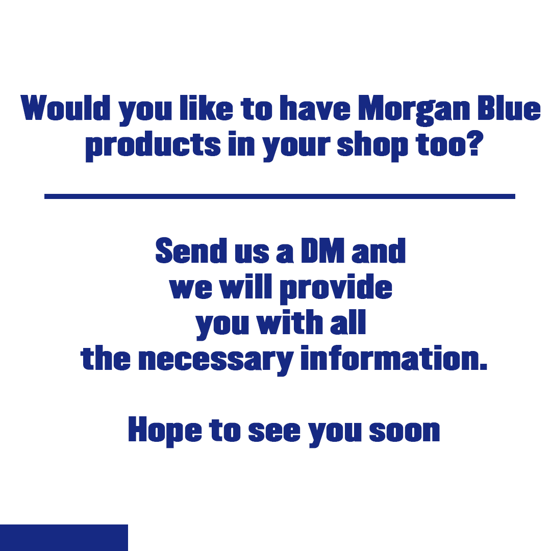Morgan Blue tweet media