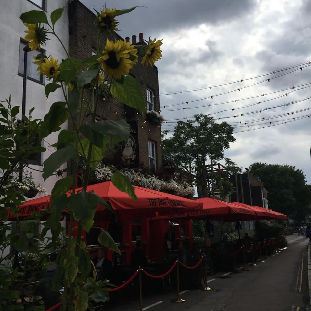 deptfordfolk's tweet photo. Great to see local residents & businesses greening up the planters on #PrinceStreet. This filtered street is a key part of our #DPLN project bringing safe, accessible, socialable #HealthyStreets to #Deptford #Lewisham & yes, @thedogandbell will be showing The Game outdoors. https://t.co/GKuJqqM1Tw