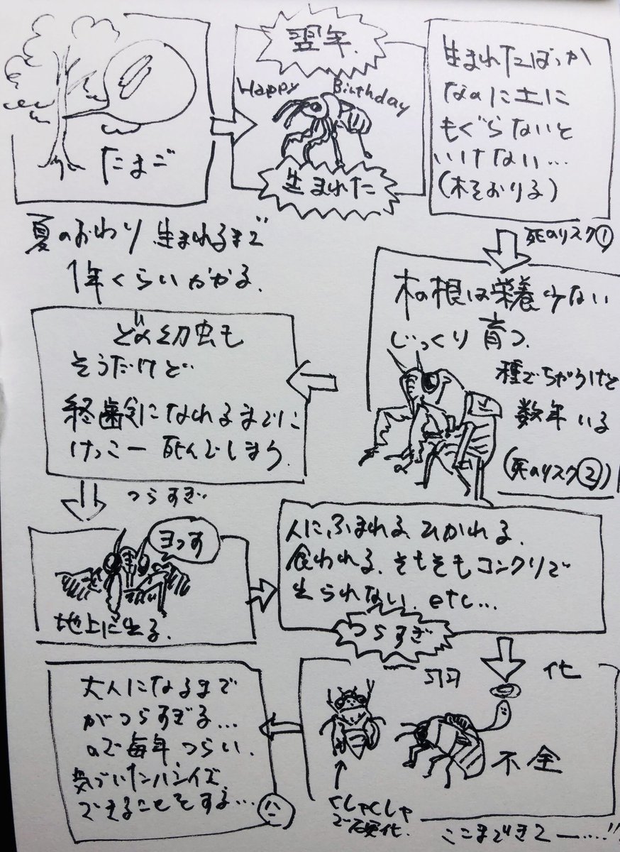 毎年蝉のこと考えてる 