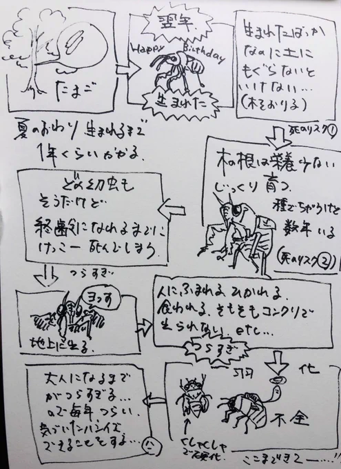 毎年蝉のこと考えてる 