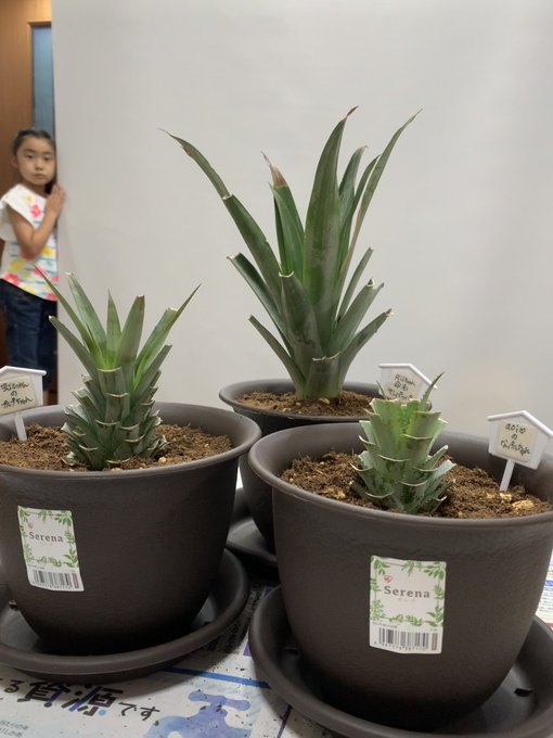 Twitterのコスプレ画像29