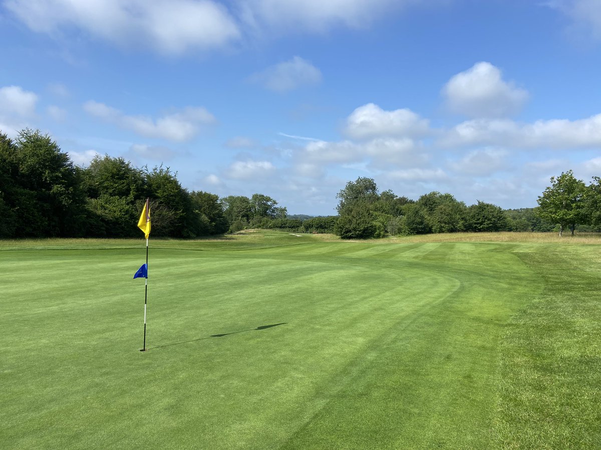 iestyn carpenter tweet media