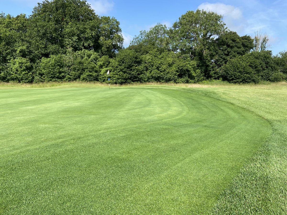 iestyn carpenter tweet media