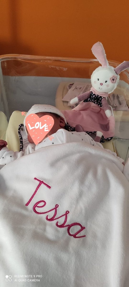 - Platy. (Eloïse.) tweet media