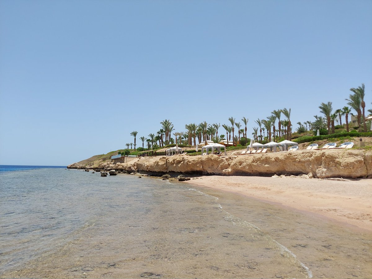 ShinWorld8's tweet photo. فورسيزونس شرم الشيخ
#سأدعم_سياحة_مصر https://t.co/sJDcrSjHLP