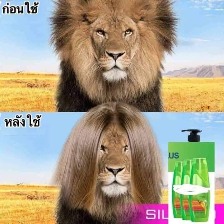 กุก้ขำกับอะไรแบบนี้อีกละ 5555555555