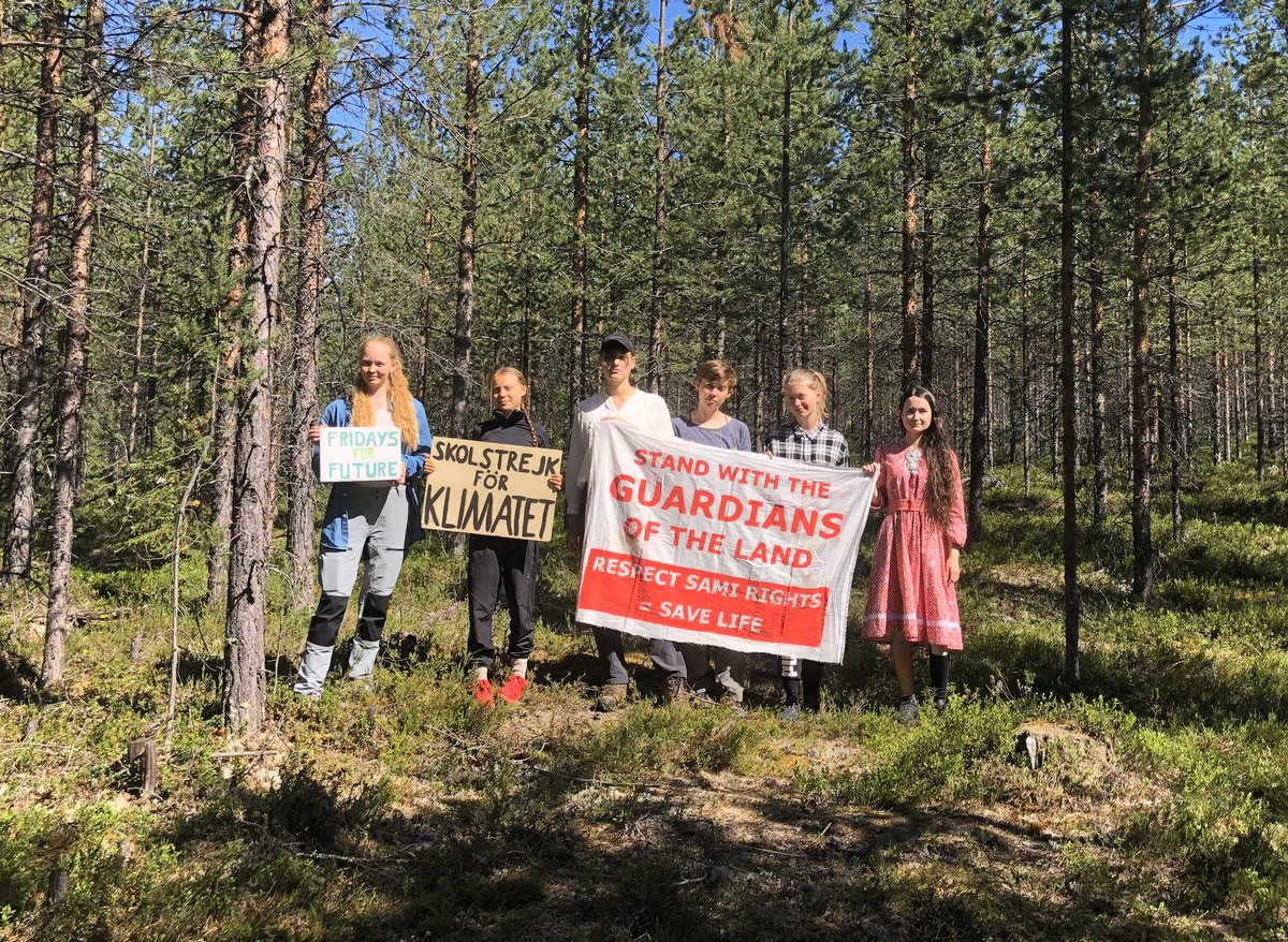 School strike week 151. This Friday we are in a tree plantation in Sápmi, Northern Europe. This used to be a forest, but after it was cut down forest companies have planted an invasive tree species that grows faster than the local ones. 1/7