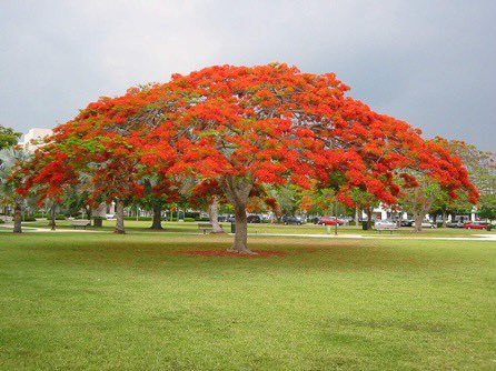 فهد عبدالله العضيب tweet media