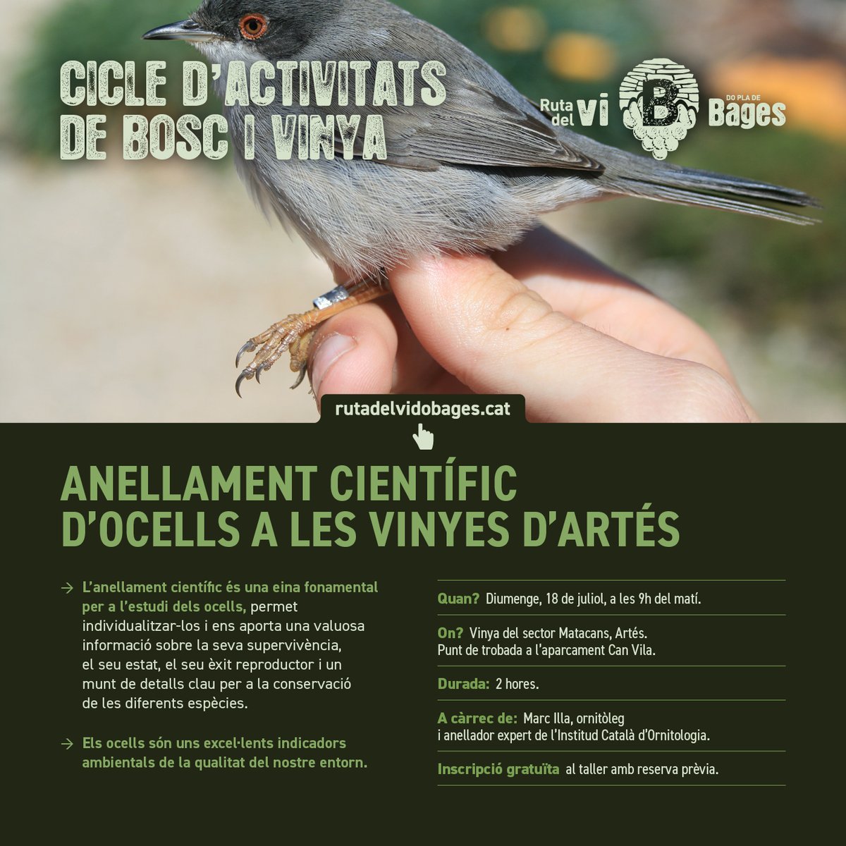 Coneix la biodiversitat del bosc que envolta les vinyes del Bages a través de les activitats del proper cap de setmana.🍃
17/07 Reconeixement de plantes a Collbaix 🫒
18/07 Anellament científic d'ocells a Artés 🐦

#rutadelvidopladebages #biodiversitat #dopladebages