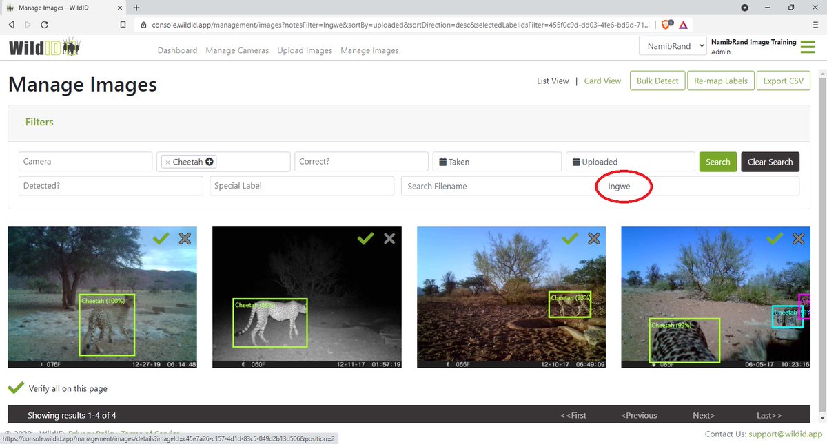 WildIDApp's tweet photo. NEW FEATURE RELEASED! Notes
Add free-format text notes for images, and keyword search them later. Use this to record details on condition, individual animal recognition - anything at all.
Camera trap image processing made easy.
#cameratraps #wildid https://t.co/hBFdMwEQOG
