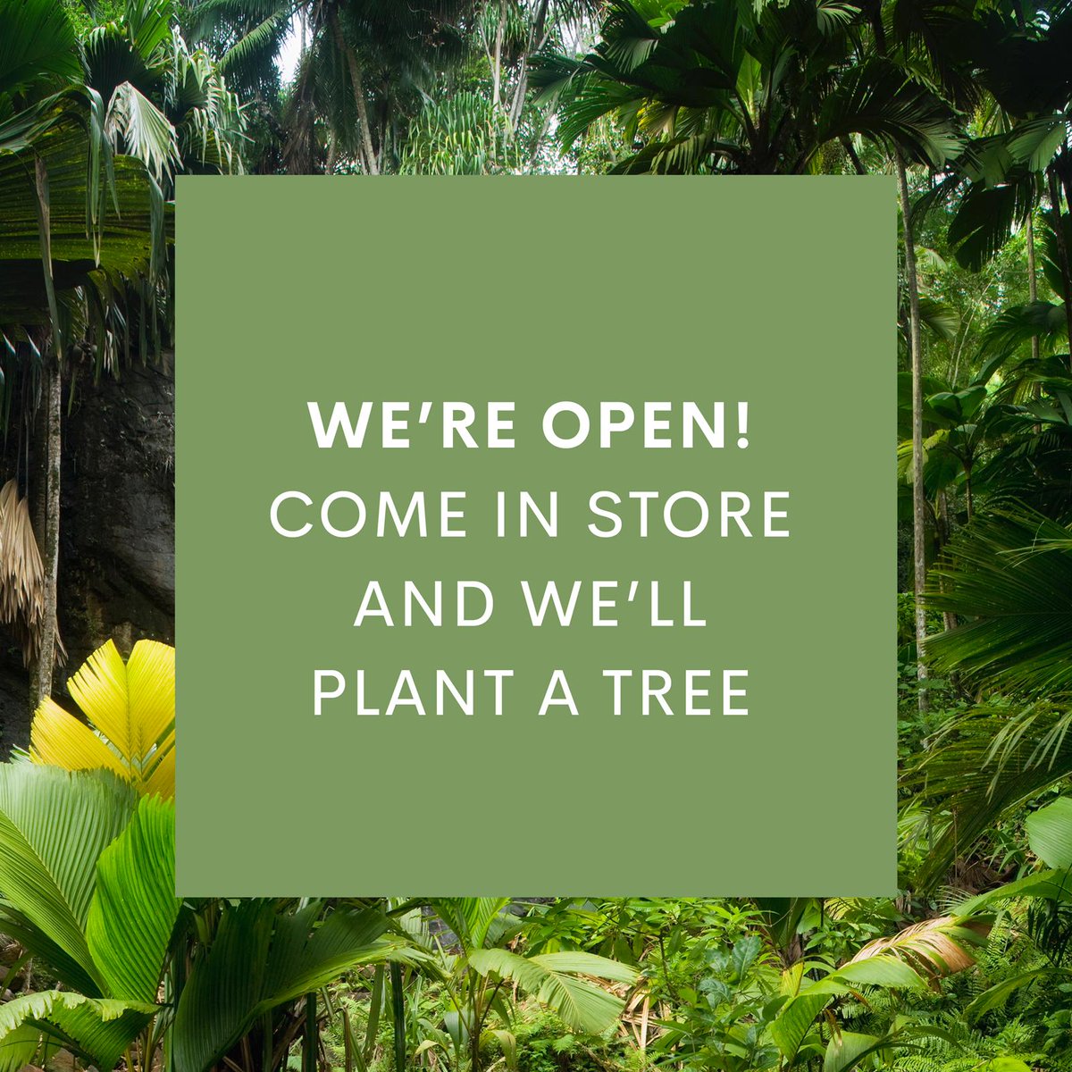 Did you hear? Our Regent Street is open! Come by to shop our sustainable delights - from clothing to accessories, we've got it all and to make things even better, we're planting trees for every purchase!
-
#open #reopening #regentstreet #london #shop