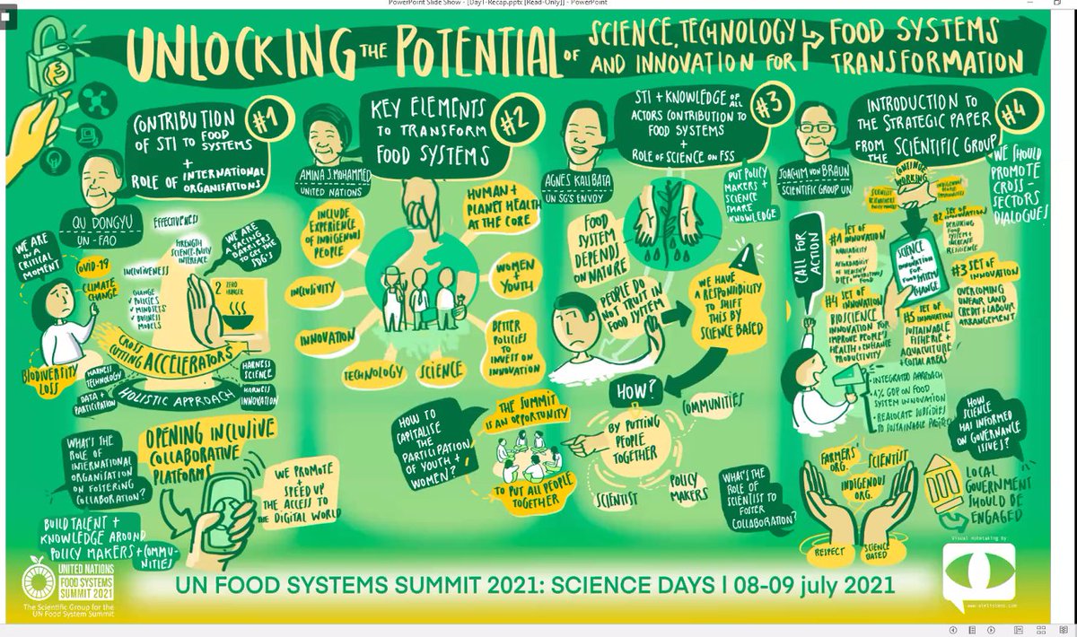 #ScienceDays summary of day 1 discussions. #FoodSystems @sc_fss2021 @FAOScienceChief @FAOKnowledge