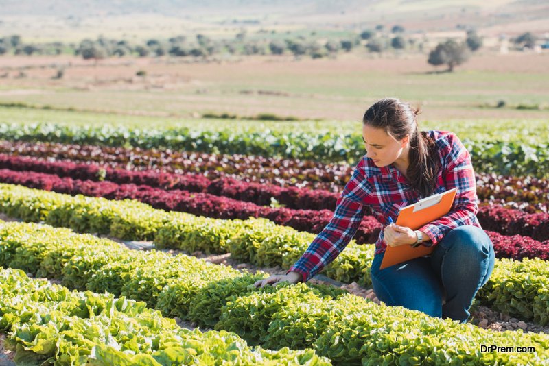 networkdrprem's tweet photo. How to Start a Small Farm
https://t.co/L9TBTiHqfD
#greendiary #drpremnetwork #drprem #sponsored 
#businessplan #GoalsandPriorities #motivation #Review #RightProducts #SmallFarm #success #Training #vegetables https://t.co/nTeUlMLF3E