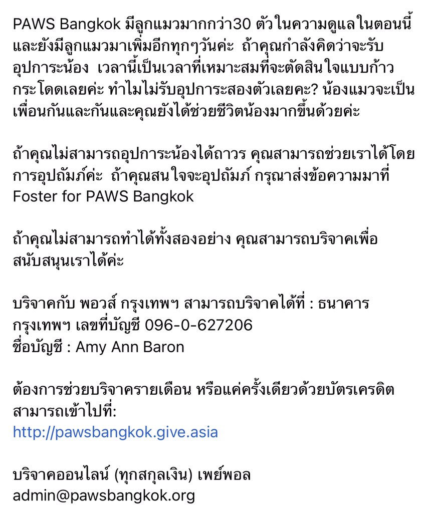 🍐lll🏳️‍🌈 | คาเฟ่แมวหาบ้าน📍AsokPetHouse tweet media