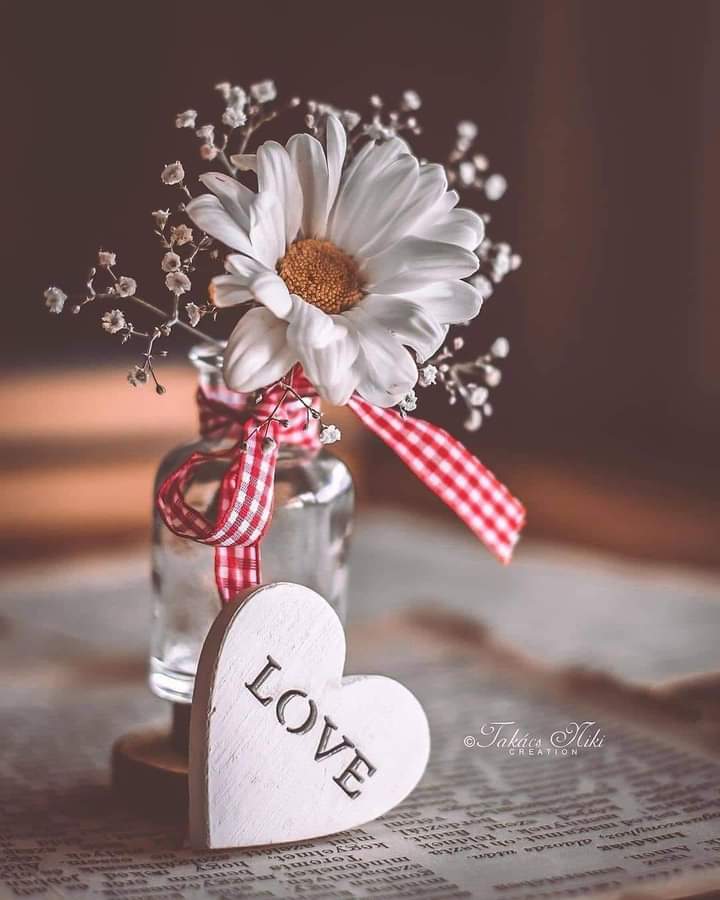 GOOGLE0780's tweet photo. "ياصديقي.. إن صادف يومًا، أنك لم تجد عُذرًا يبرر أفعالي، اجعل لي نصيبًا من حُسن ظنك، لعلّ في الخفايا أعذارًا لا تدري عنها أو تراها." https://t.co/hVsCEu1nb3