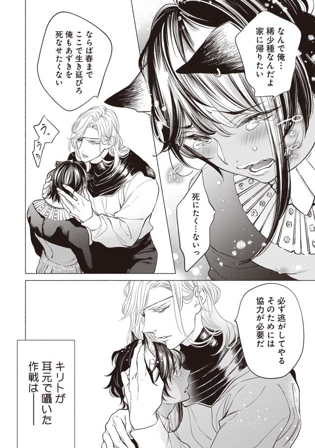 絶対抱かない紳士スパダリ×絶対抱かれたい発情ネコBL(4/5) 