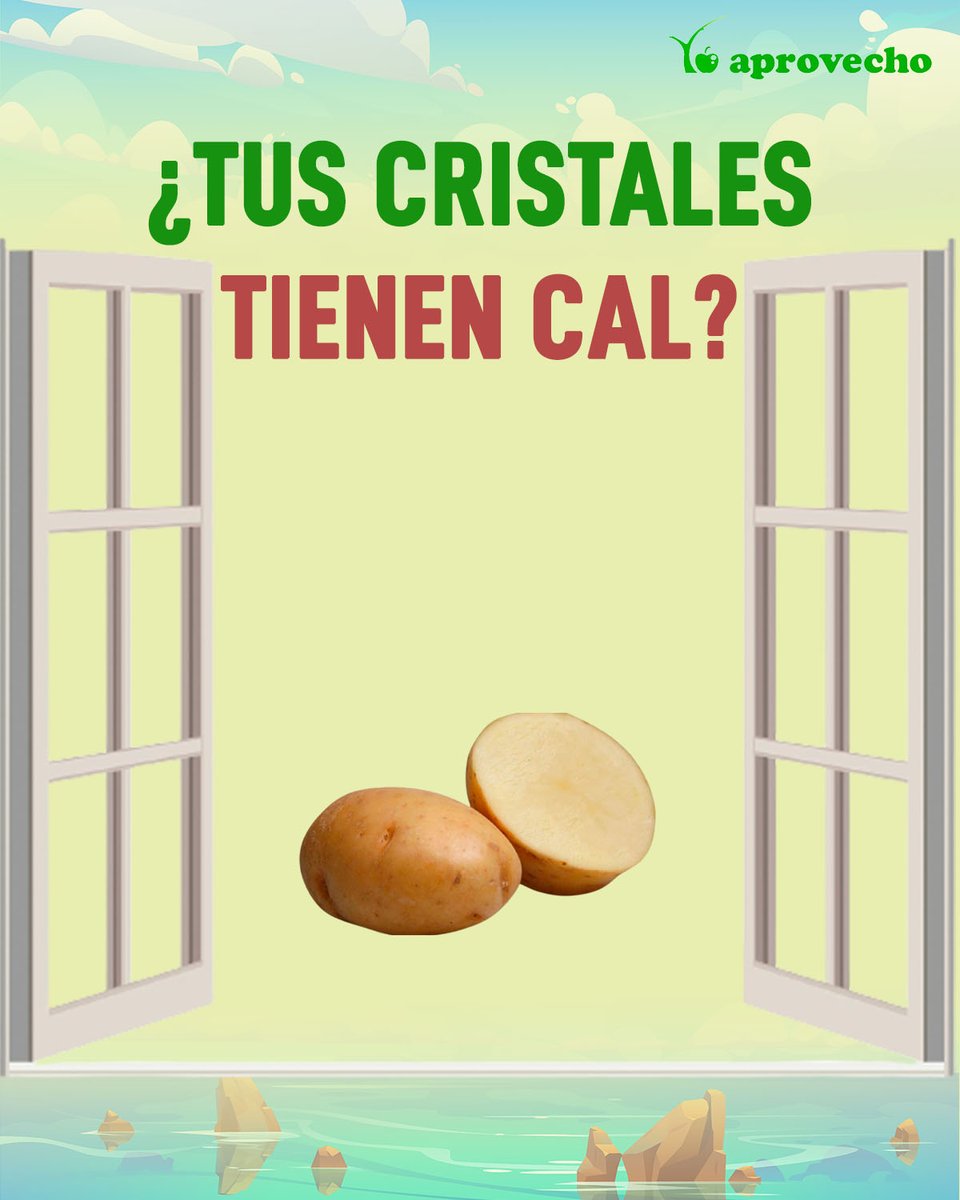 YoAprovecho's tweet photo. 😊Hoy te traemos un #tipsostenible para #eliminarlacal de tus #cristales de ventanas y mamparas de baño
✔ Solo tienes que frotar el jugo de una patata cortada por la mitad y frotar con un paño seco y limpio para retirar los restos
✔Podrás repetirlo las veces que lo necesites😉 https://t.co/5fbmstbLbW