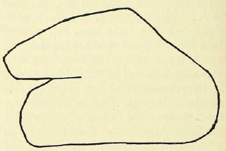 Its well-known among my peers that my artistic skills are minimal. However, I'd like to think that they rank slightly higher in the annals of palaeontology than the illustrations of dinosaur type material provided by Van Hoepen (1920): this is Eucnemisaurus fortis, apparently