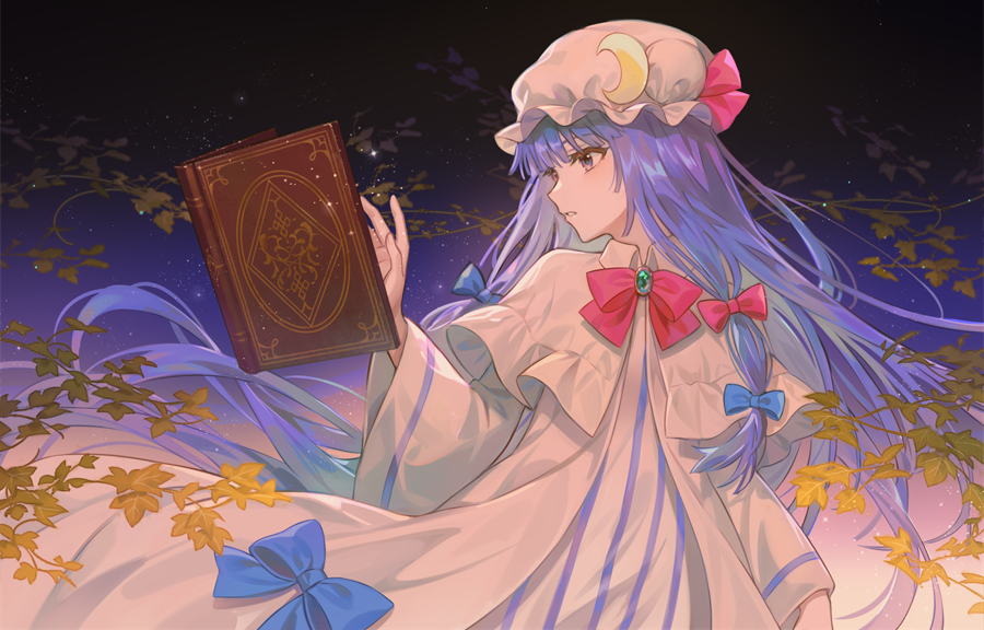 patchouli knowledge 1girl solo long hair hat book purple hair crescent  illustration images