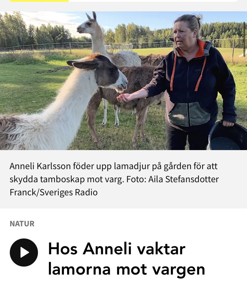 dlagerqvist's tweet image. Never forget