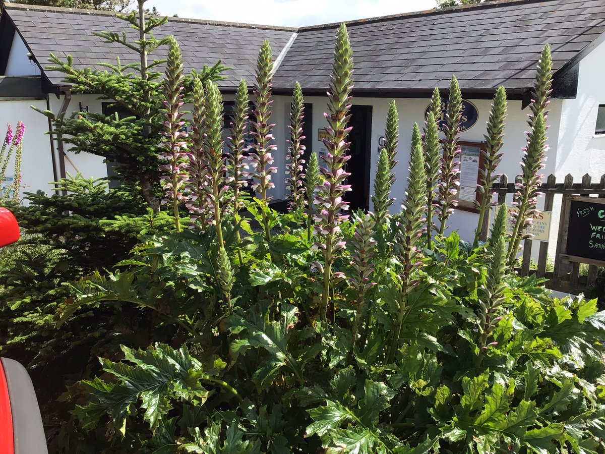 Blue Hills Camping tweet media