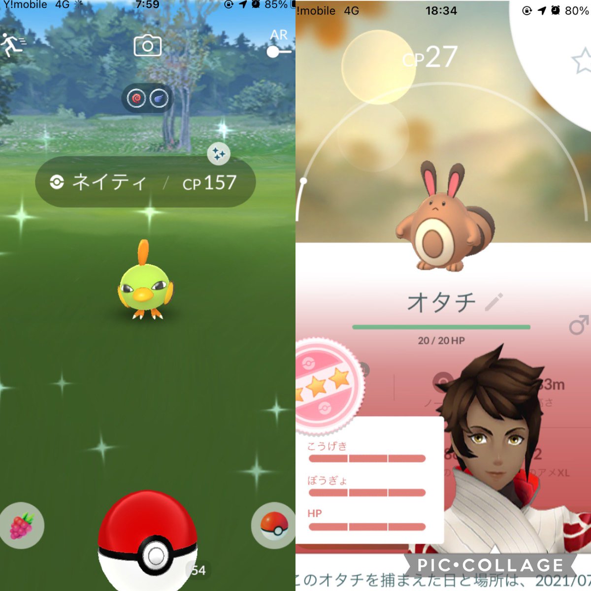 ポケモンgo ネイティの色違い 入手方法と実装状況 攻略大百科