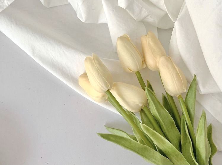 fromminty's tweet photo. ππΎππ½πππΎππ ππΎππ½ πππ π
"To live or to be loved?" A question all Lees ask themselves in every waking moment of their lives.
β a cottagecore kiho au https://t.co/qSrDIleTOa