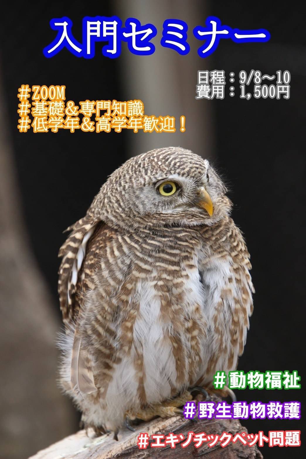 日本野生動物医学会 学生部会 こんにちは 今年の夏は2年に一度行われている 野生動物入門セミナー をオンラインで開催いたします 野生動物入門セミナーとは 大学 動物園 水族館各種専門研究機関などで野生動物に関わるお仕事をされている方々を