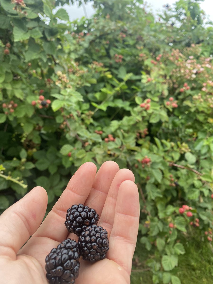 josh pope tweet media