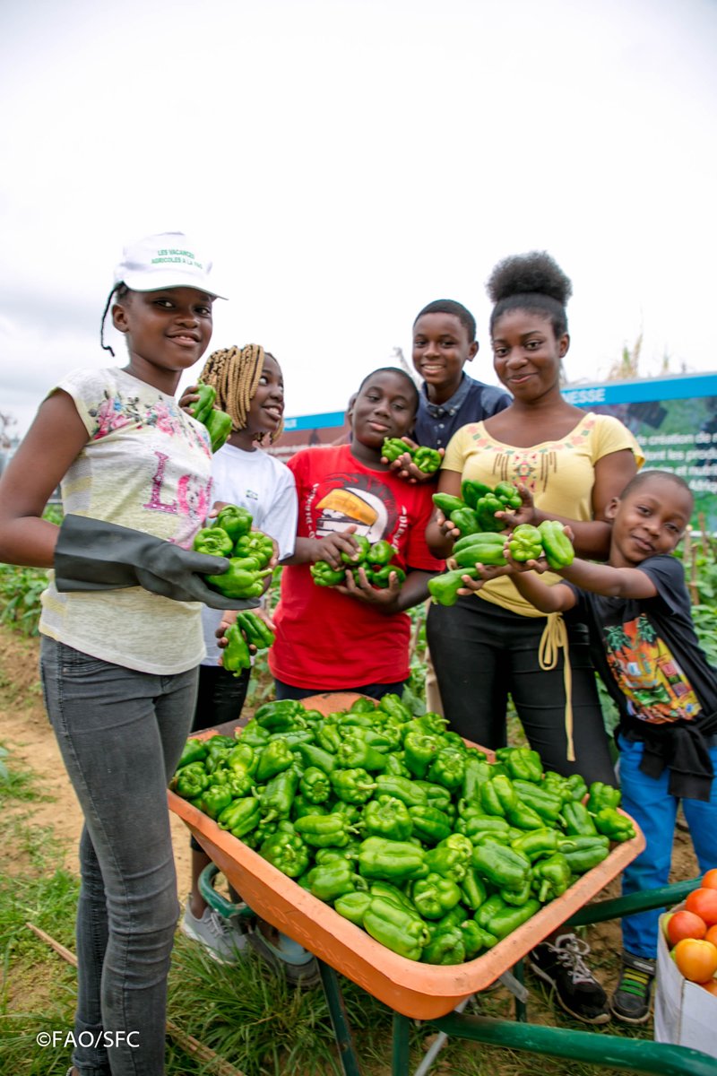 DDCMali's tweet photo. #ClassesVertes, un projet de la @FAO soutenu par la 🇨🇭 pour promouvoir des techniques innovantes de production alimentaire auprès des #jeunes en milieu scolaire. Plus d’info sur la phase pilote au 🇨🇲🇨🇩 🇬🇦 avec 6⃣1⃣2⃣1⃣ élèves. 👉https://t.co/b7piNI9LeU https://t.co/Br5mmsrYaZ