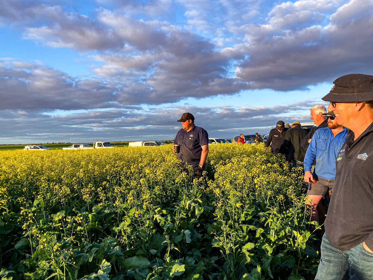 Belinda Eastough tweet media